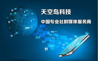天空島科技 中國專業(yè)社群媒體服務商